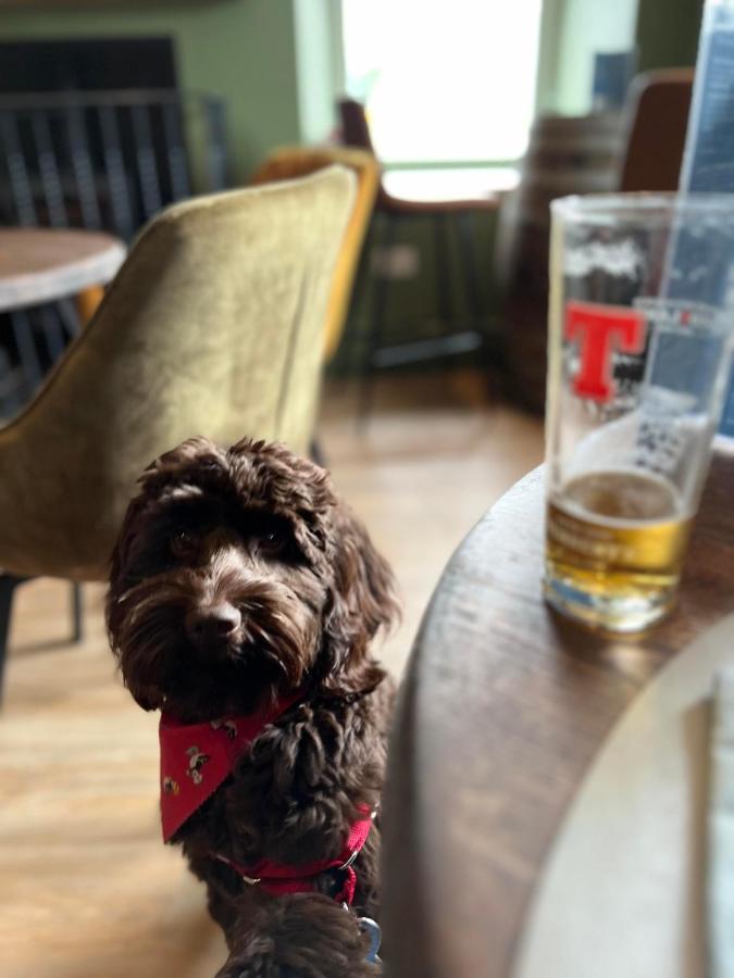 The Kenmuir Arms Hotel New Luce Екстериор снимка